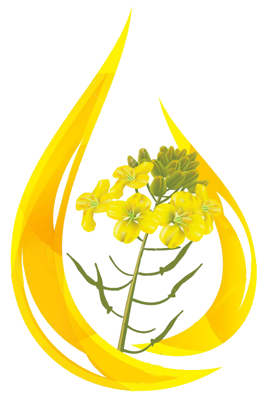 Kachhi Ghani Mustard Oil - Double Ghani Brand