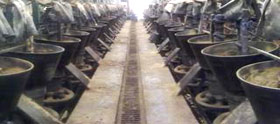 Double Ghani Brand - Singhal Industries Oil Mil, Bharatpur, Rajasthan, India