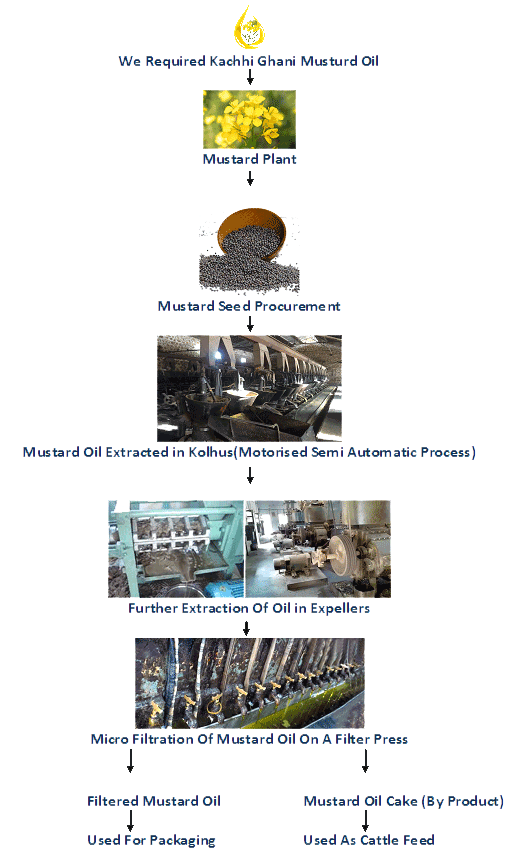 Website Template